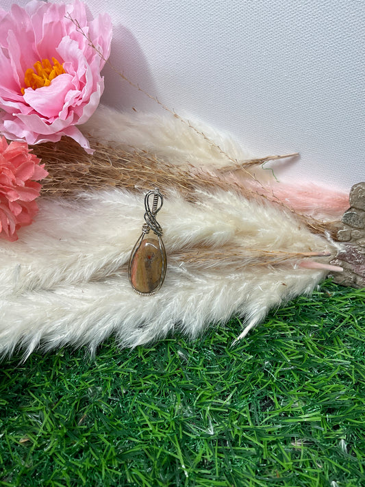 Petrified Wood Necklace Wrapped in Sterling Silver.