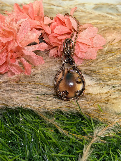 Operculm Shell Wrapped  in oxidized copper