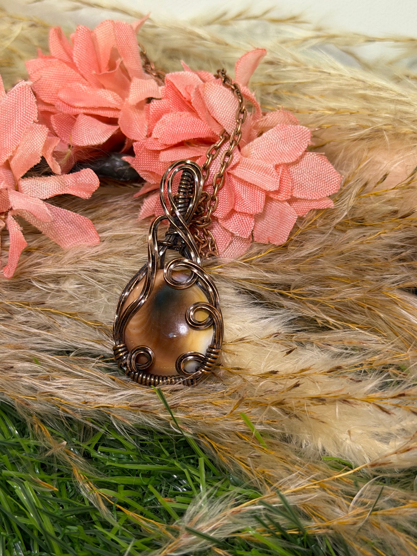 Operculm Shell Wrapped  in oxidized copper
