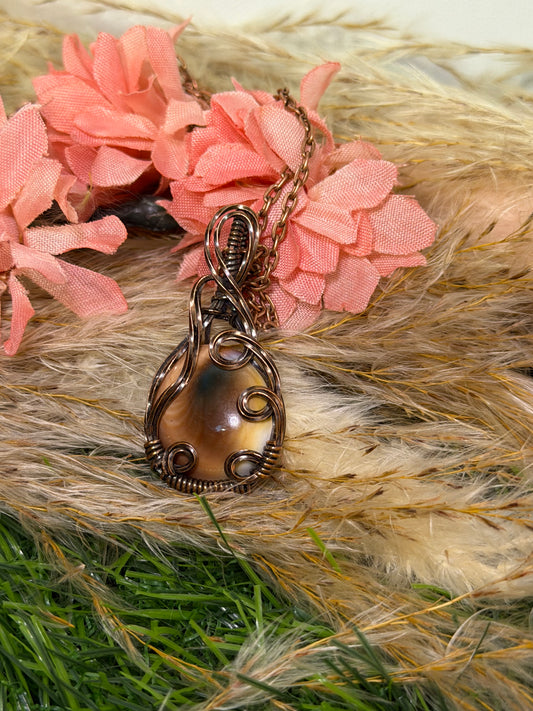 Operculm Shell Wrapped  in oxidized copper