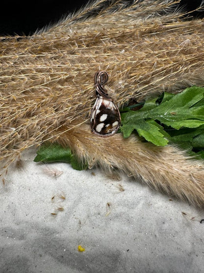 Petrified Peanut Wood Wrapped in Oxidized Copper/